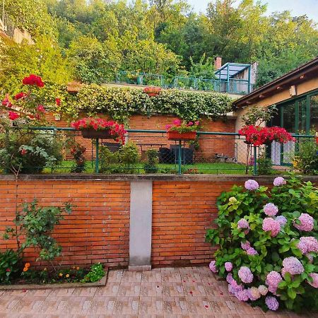 Villa Aya - With Sauna And Outdoor Swimming Pool Mostar Exteriér fotografie