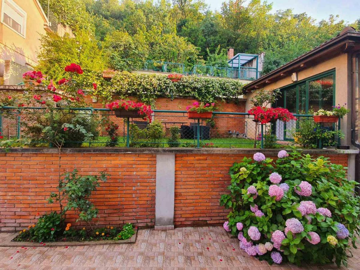 Villa Aya - With Sauna And Outdoor Swimming Pool Mostar Exteriér fotografie
