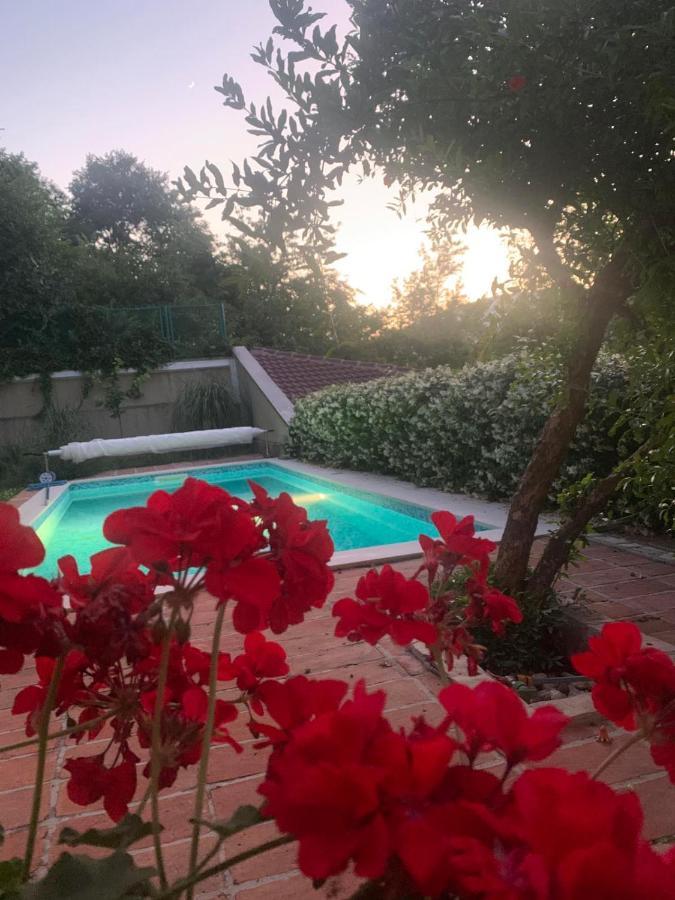 Villa Aya - With Sauna And Outdoor Swimming Pool Mostar Exteriér fotografie